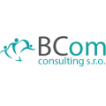 Bcom Consulting