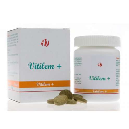 VITILEM +, 360 tablet