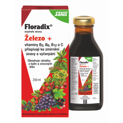 SALUS Floradix Železo+ - Сироп с содержанием железа, 250 мл